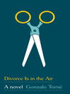 Cover image for Divorce Is in the Air